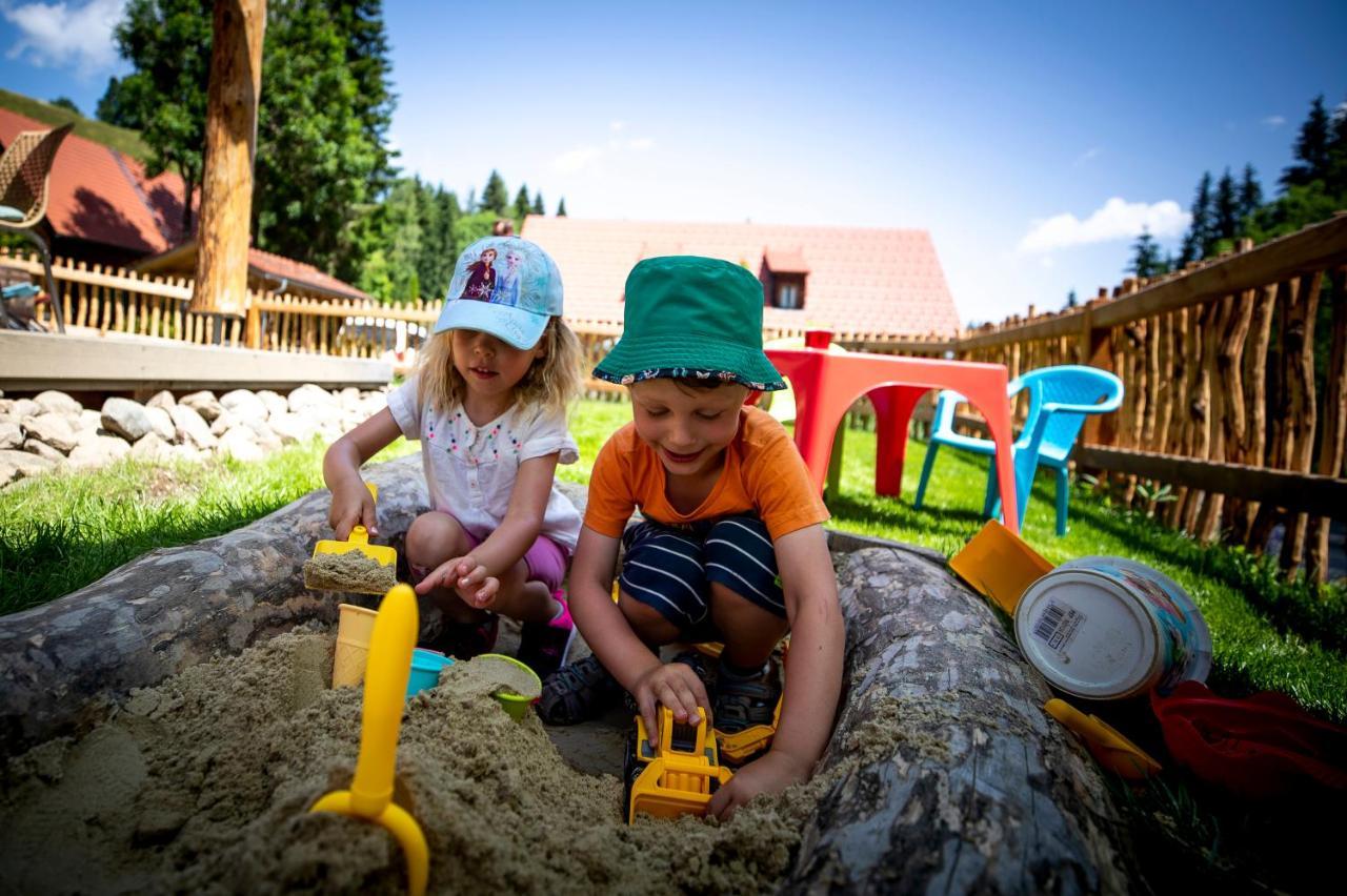 Naturpark Hütte Mandl, Biobauernhof&Hüttenurlaub Sankt Lambrecht Exterior foto