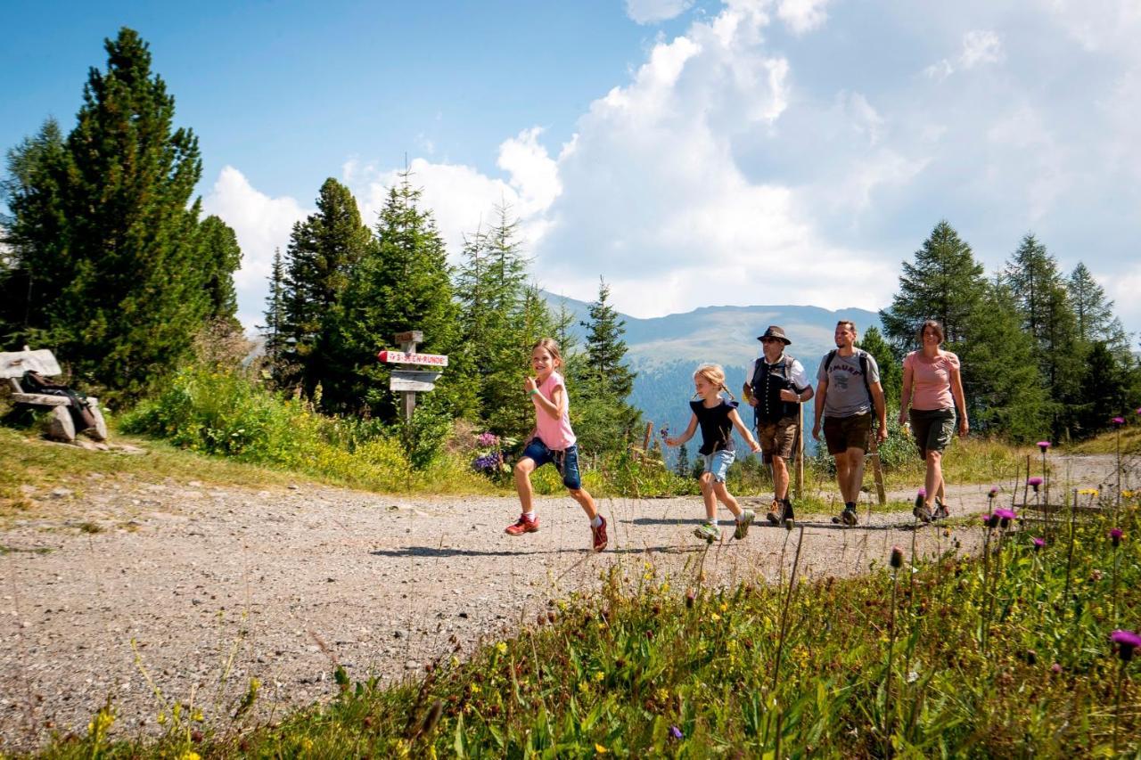 Naturpark Hütte Mandl, Biobauernhof&Hüttenurlaub Sankt Lambrecht Exterior foto