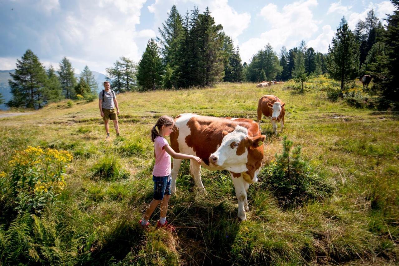 Naturpark Hütte Mandl, Biobauernhof&Hüttenurlaub Sankt Lambrecht Exterior foto