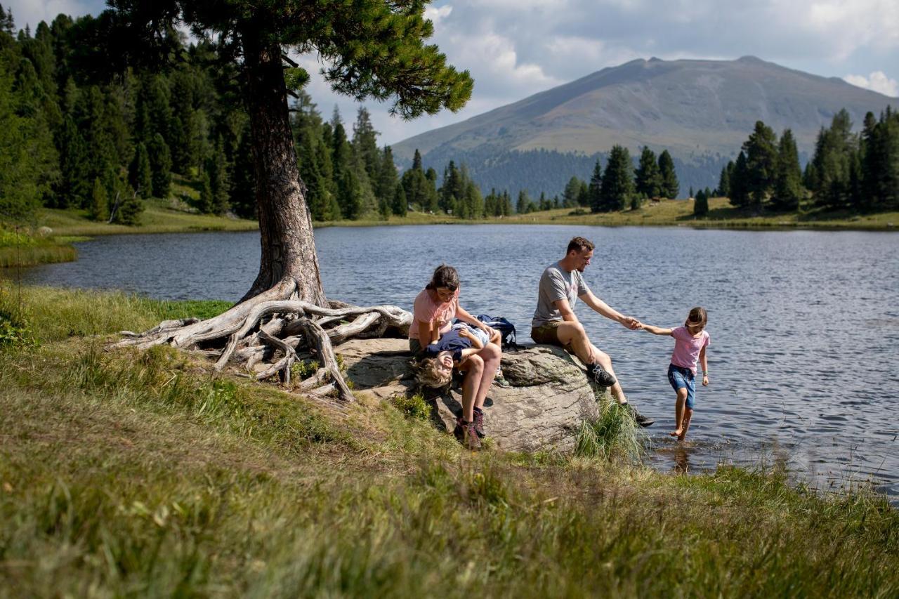 Naturpark Hütte Mandl, Biobauernhof&Hüttenurlaub Sankt Lambrecht Exterior foto