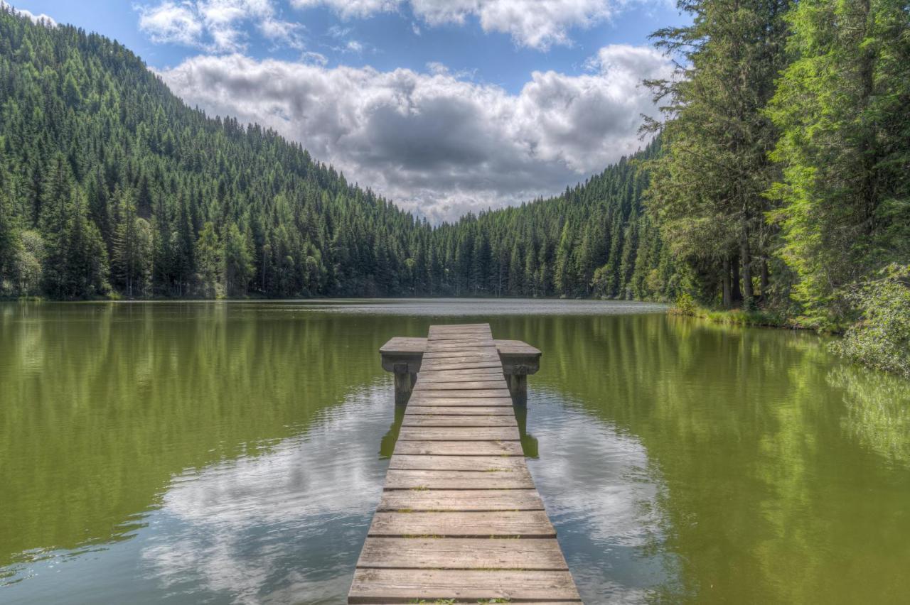 Naturpark Hütte Mandl, Biobauernhof&Hüttenurlaub Sankt Lambrecht Exterior foto